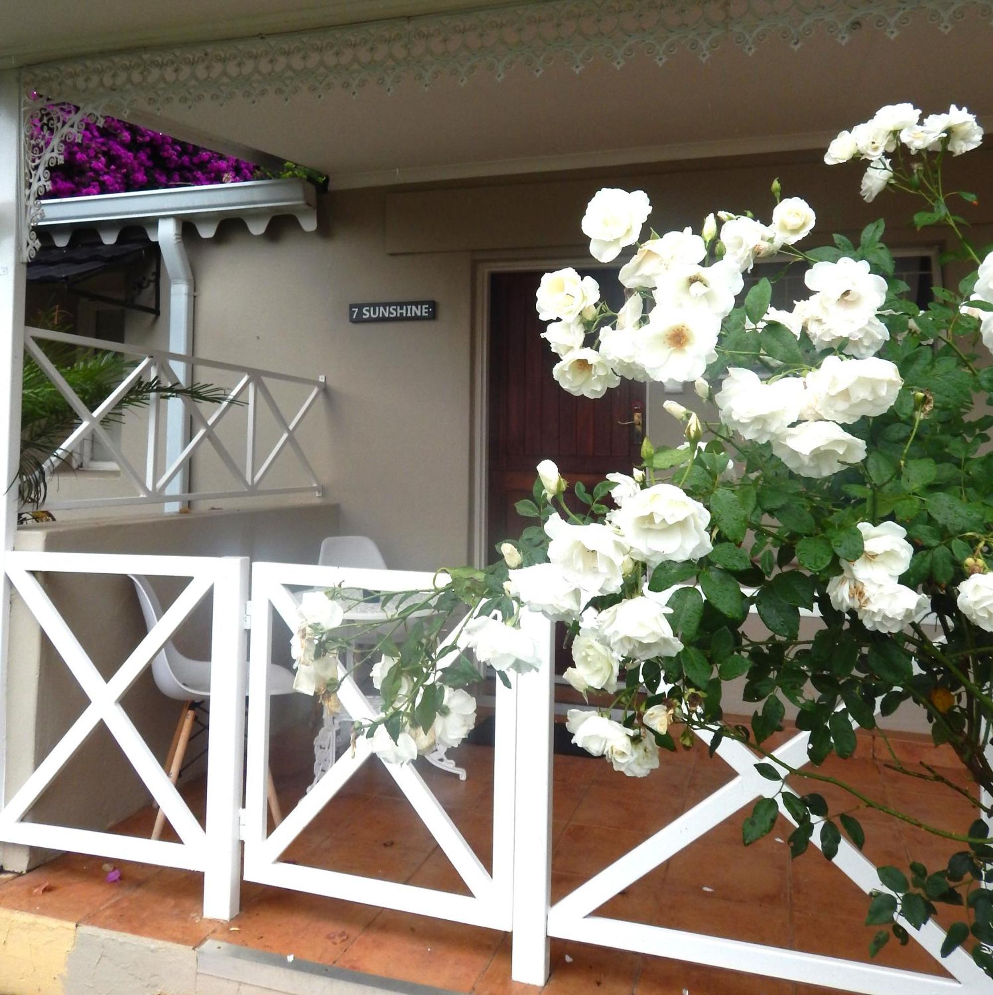 Longtom Farm Guesthouse Lydenburg Kültér fotó