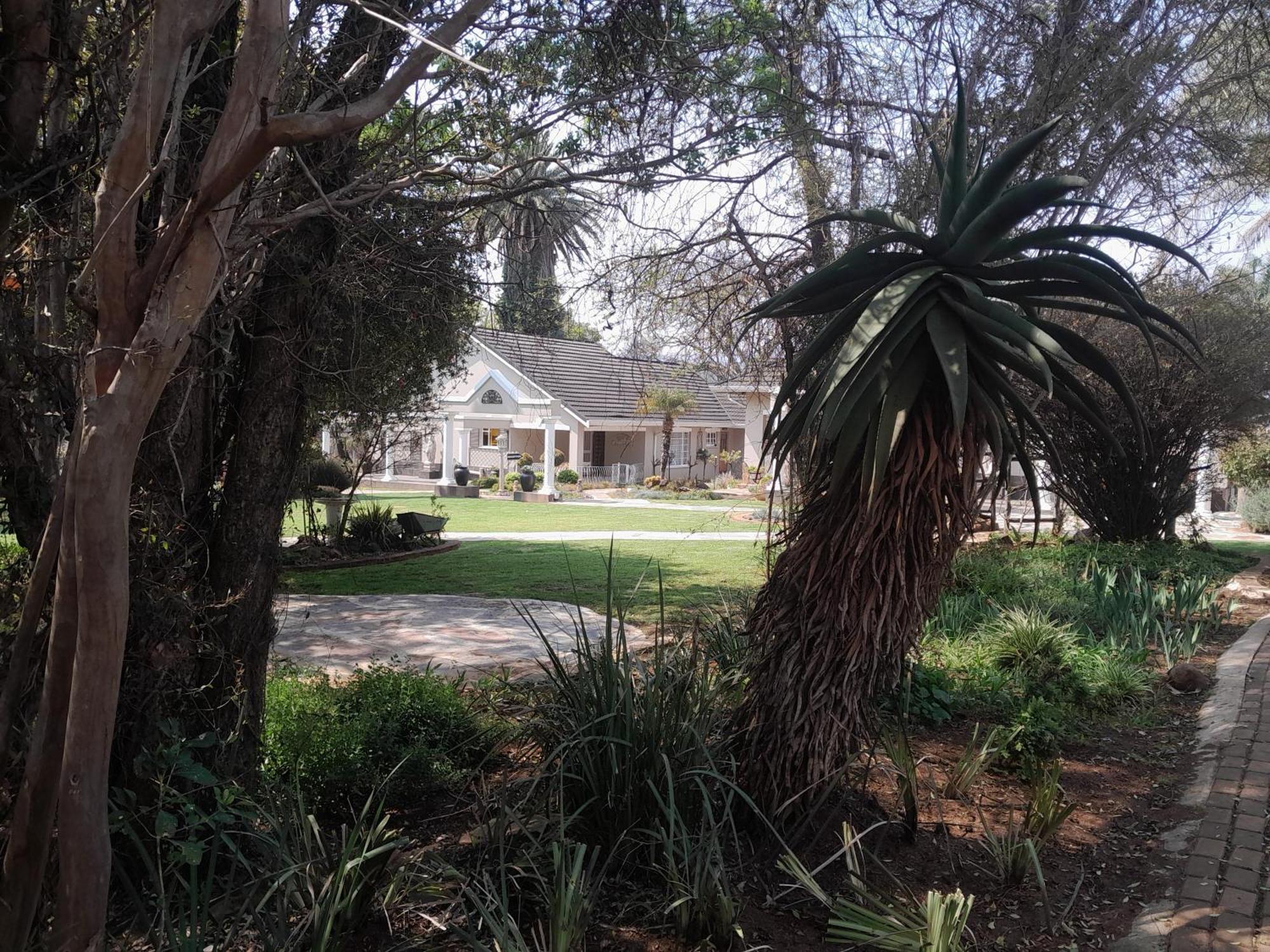 Longtom Farm Guesthouse Lydenburg Kültér fotó