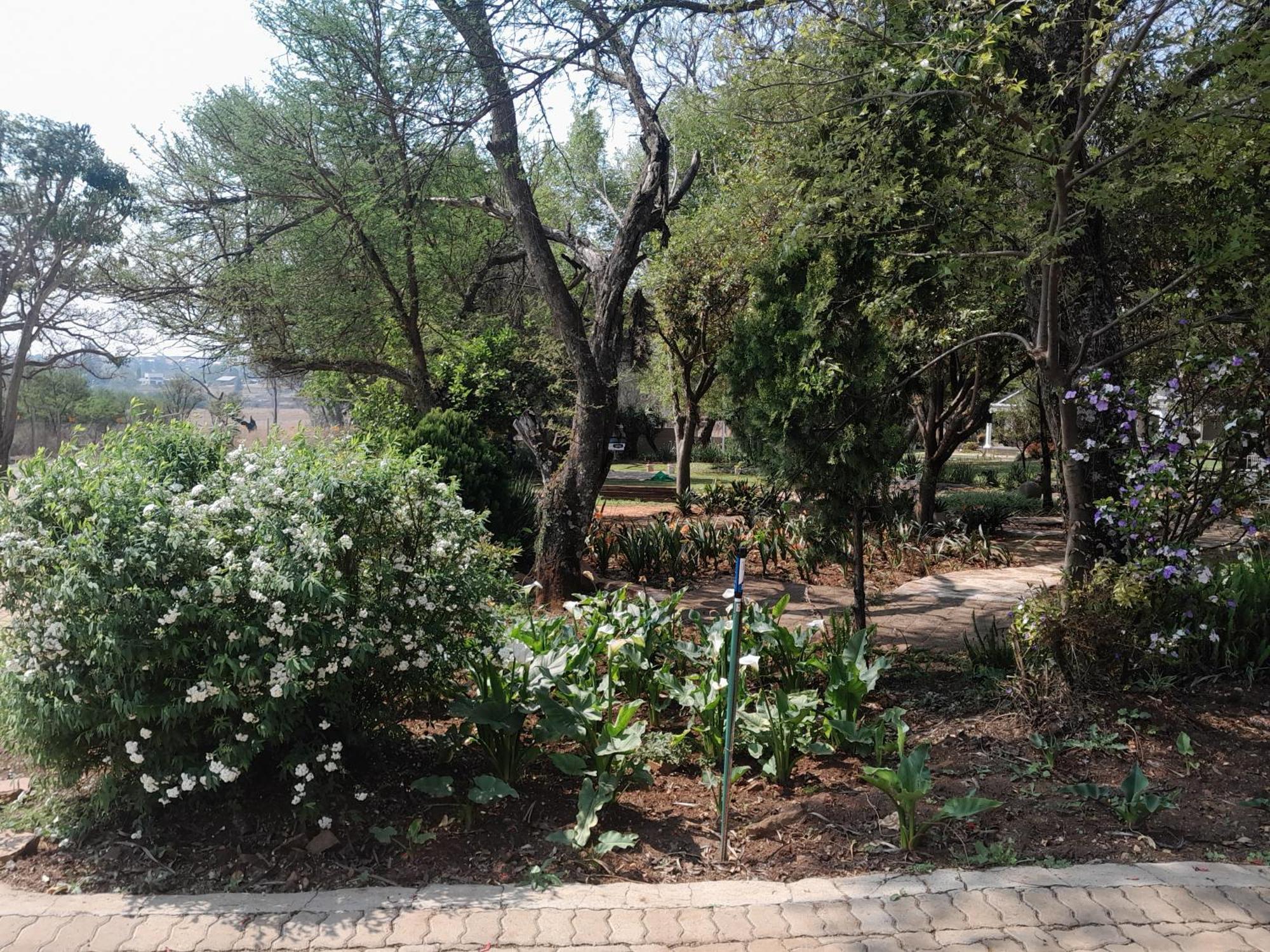 Longtom Farm Guesthouse Lydenburg Kültér fotó